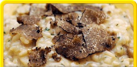 Truffle Risotto